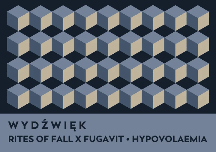 Grafika połączonych jedną ścianą 9 sześcianów w 4 rzędach. Tło jest czarne, sześciany mają pokazanie 3 ściany z czego dwie są jasno szare i jedna beżowa. Na dole grafiki szary pas z czarnym napisem: Wydźwięk Rites of fall x fugavit Hyoivolaemia